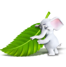 Selpak Professional Hakkında