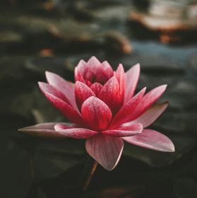 Yenilikler için Okey’i sosyal medyadan takip edin.