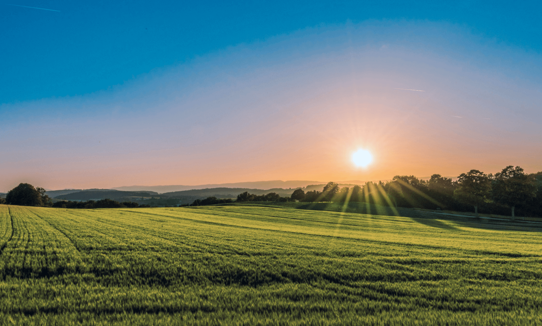 Yarınlara Sözümüz